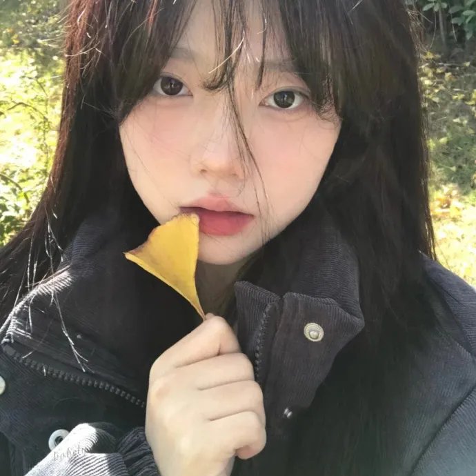 全球精选